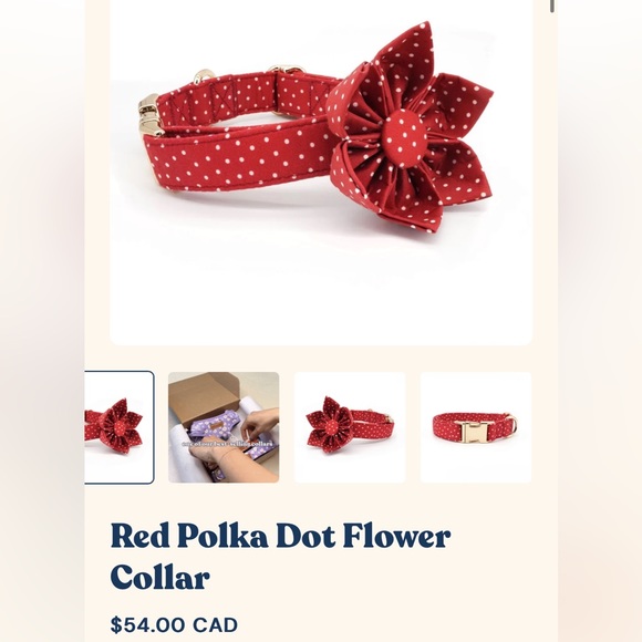 Sniff & Bark dog collar | MEDIUM | red polka dot print w/ removable large flower - Picture 5 of 7
